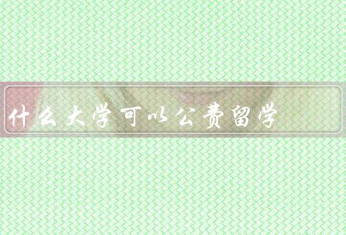 什么大学可以公费留学，清华大学、北京大学、复旦大学