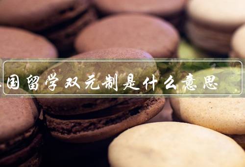 德国留学双元制是什么意思（特点、优势、启示）