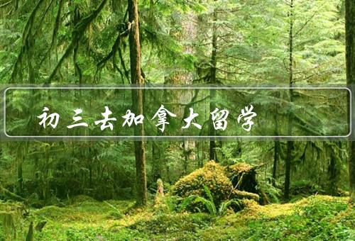 初三去加拿大留学，教育资源丰富／跨文化交流／生活经历和独立性