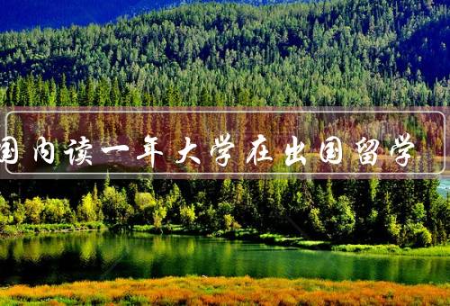 在国内读一年大学在出国留学