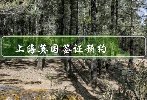 上海英国签证预约