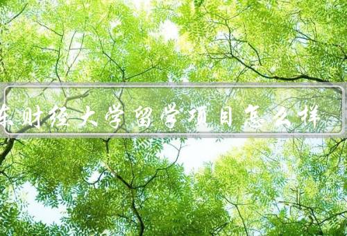 山东财经大学留学项目怎么样（课程设置、教学团队、学生支持体系）