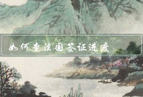 如何查法国签证进度，查询法国签证进度的步骤、注意事项