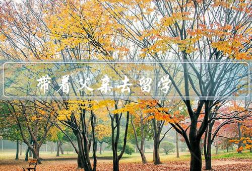 带着父亲去留学（父亲的决定、相互扶持、珍贵的回忆）