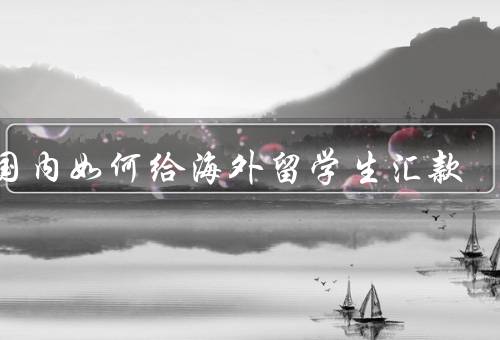 在国内如何给海外留学生汇款，汇款前的准备、选择合适的汇款方式