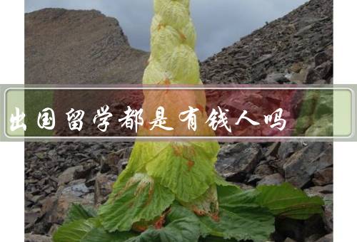 出国留学都是有钱人吗（留学费用多种多样、贷款和赞助、努力和机会）