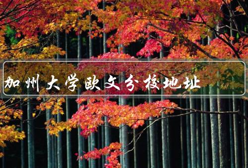 加州大学欧文分校地址，地址、特色、学术氛围