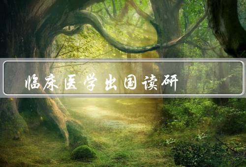 临床医学出国读研，丰富的学术资源／国际化的学术氛围