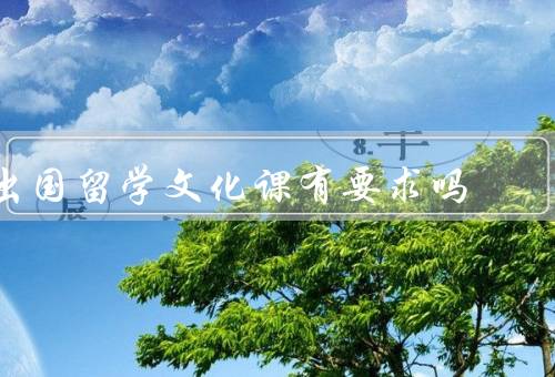 出国留学文化课有要求吗（重要性／具体要求／如何准备）