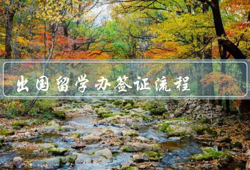 出国留学办签证流程