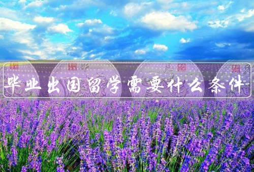 大专毕业出国留学需要什么条件，语言能力／学历要求／经济能力