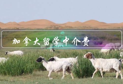 加拿大留学中介费，中介费的定义、收费标准、值得注意的问题