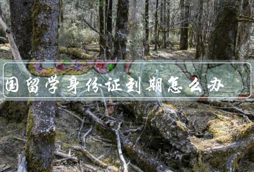 出国留学身份证到期怎么办（临时身份证、护照、提前身份证）