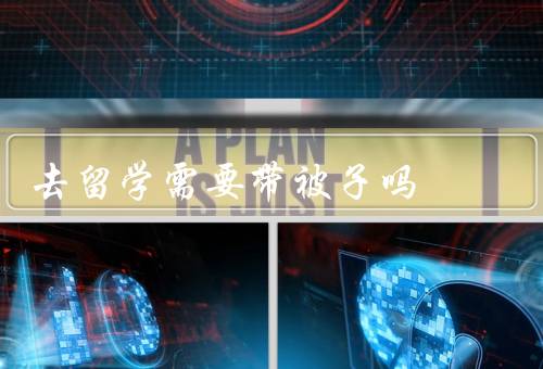 去香港留学需要带被子吗，带被子的好处、香港购买被子的选择、小结