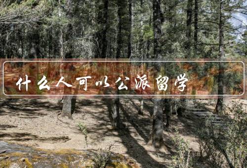 什么人可以公派留学（学术优秀者、未来发展潜力者、特殊需求者）
