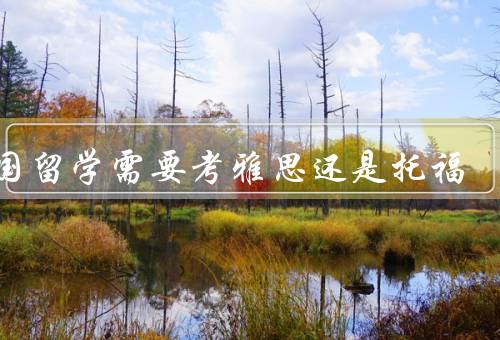 德国留学需要考雅思还是托福，德国大学入学要求、语言要求