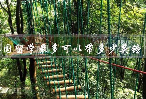 去英国留学最多可以带多少英镑，英国海关规定／个人需要和预算安排