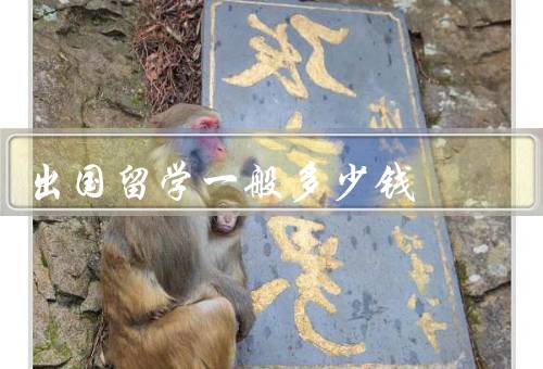 出国留学一般多少钱（学费／生活费／住宿费）