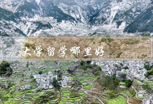 大学留学哪里好（世界一流的教育资源、广阔的就业机会）