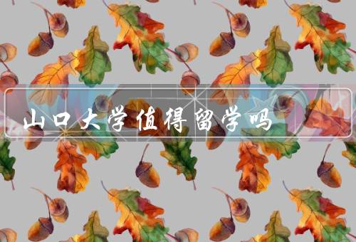 山口大学值得留学吗（教学质量、研究实力、国际化程度）