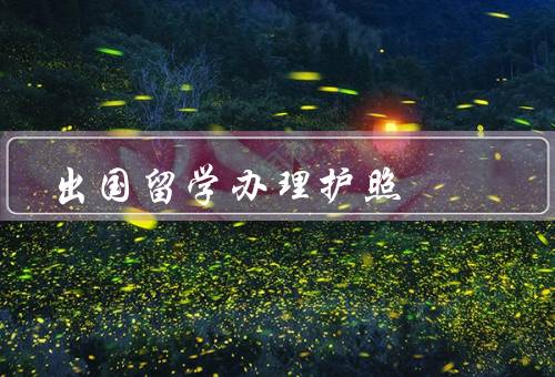 出国留学办理护照，准备材料／填写申请表格／办理护照
