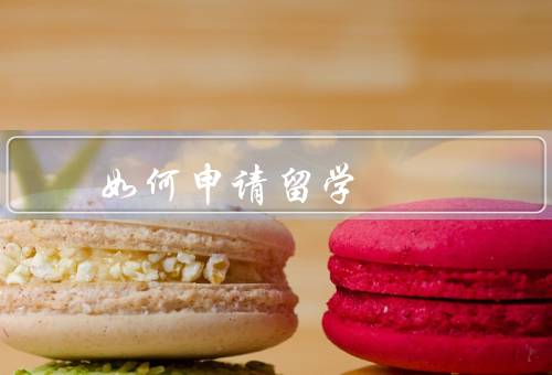 如何申请留学俄罗斯，申请材料准备、选择留学项目、申请过程