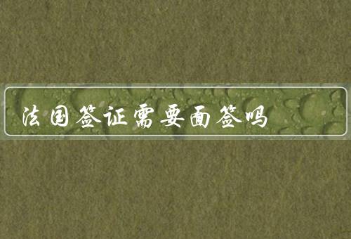法国签证需要面签吗（法国签证种类、好处、准备工作）