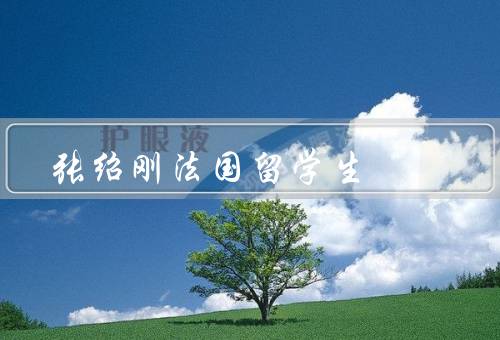 张绍刚法国留学生，学术成就、社会实践、个人感悟