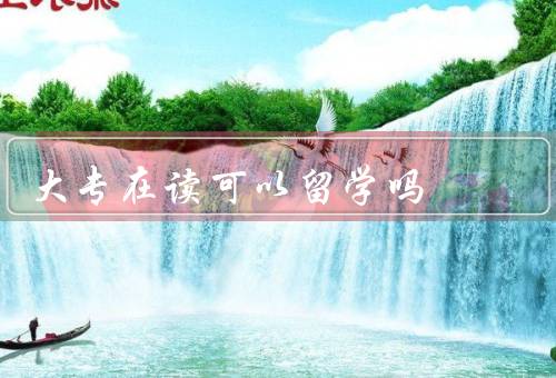大专在读可以留学吗，机会／优势／挑战