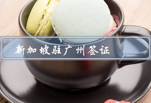 新加坡驻广州签证中心，办理流程／服务内容／优势