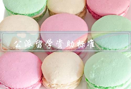 公派留学资助标准（标准／程序／政策）