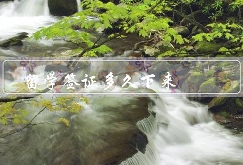 留学签证多久下来