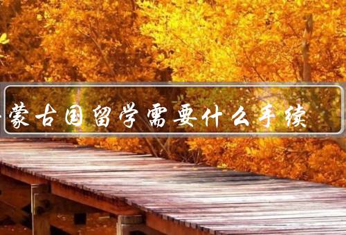 去蒙古国留学需要什么手续（申请蒙古国学生签证、办理居留许可）