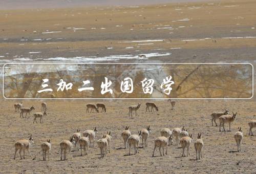 三加二出国留学（优势／挑战／结语）