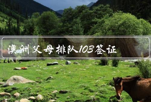 澳洲父母排队103签证（申请条件／优点／问题和考虑因素）