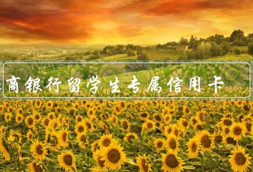 工商银行留学生专属信用卡，特点、专属特权、如何申请