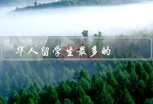 华人留学生最多的国家（美国高等教育优势、多元化的就业市场）