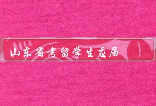 山东省考留学生应届，背景、机会、挑战