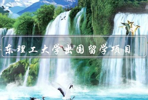 华东理工大学出国留学项目