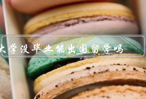 大学没毕业能出国留学吗，留学机构的要求／特殊情况下的机会