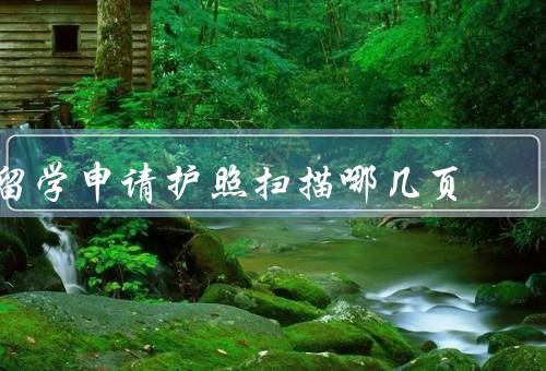 留学申请护照扫描哪几页，护照封面页／个人信息页面／签证页面