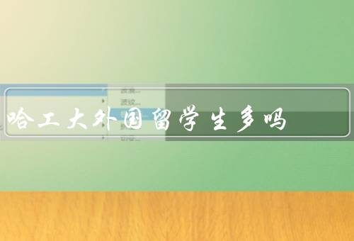 哈工大外国留学生多吗，数量／背景／生活和学习环境