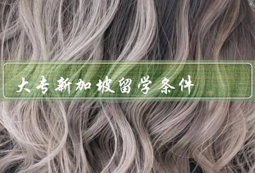 大专新加坡留学条件，学历要求／语言要求／资金证明