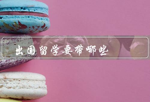 出国留学要带哪些证件，护照、签证、学历证明