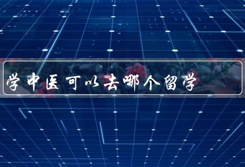 学中医可以去哪个国家留学（中国、日本、美国）