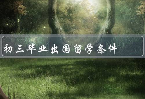 初三毕业出国留学条件（学术成绩、语言能力、经济条件）