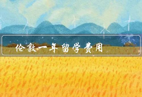 伦敦一年留学费用（留学费用构成／经济支持和奖学金）