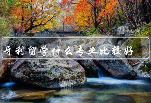 匈牙利留学什么专业比较好