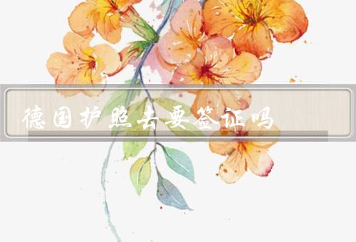 德国护照去香港要签证吗，香港旅游需要办理签证吗
