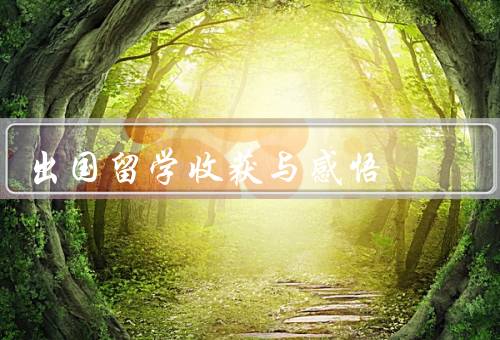 出国留学收获与感悟（学术知识的拓展、跨文化交流的能力）